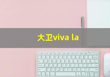 大卫viva la